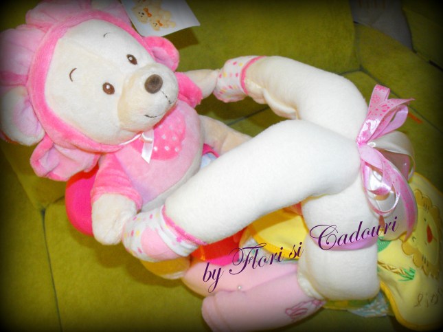 Motocicleta albinuta 