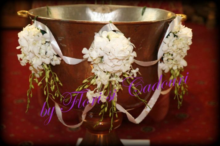 Cristelnita Alexandra