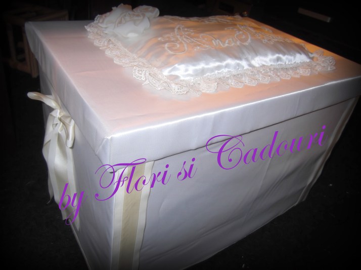 Cutie trusou Ana Maria