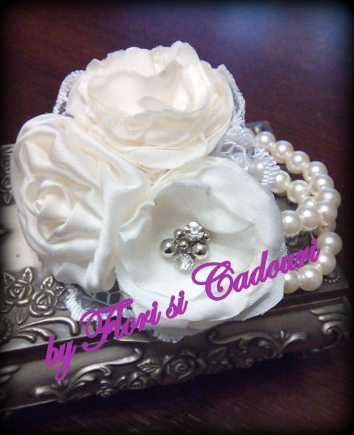 12141609_828342337279362_7952158469828673020_n-1