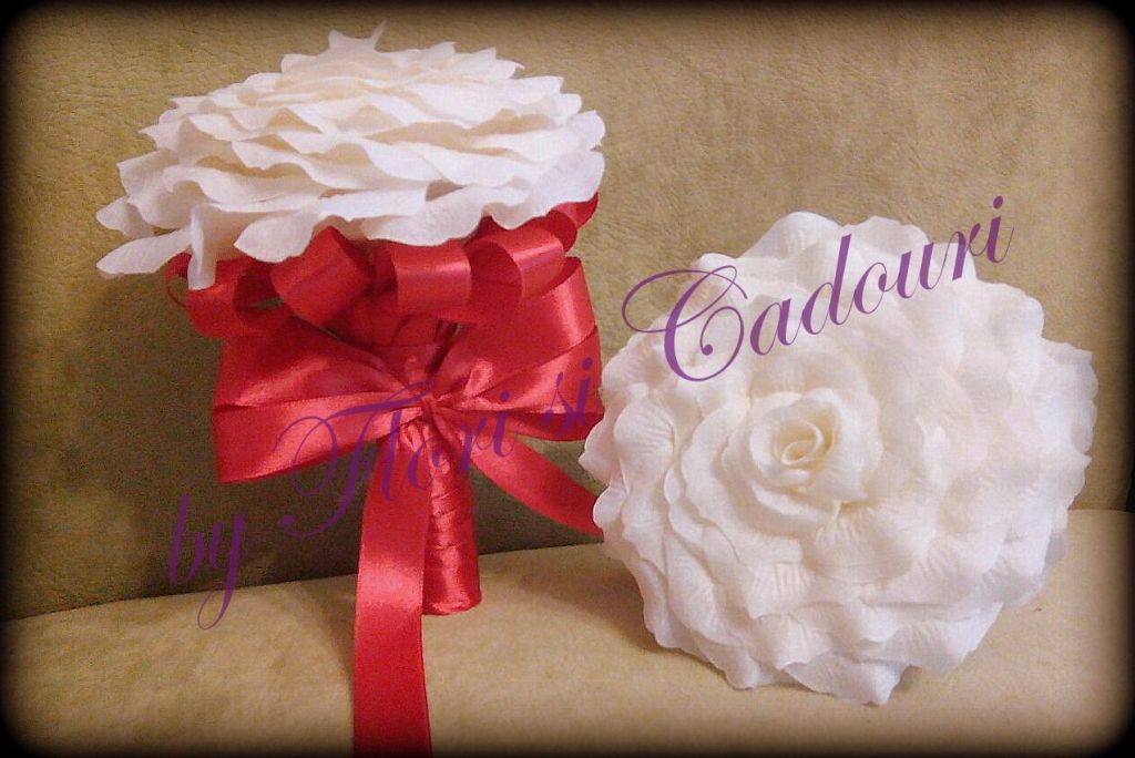 1516188a-2db9-4cfa-ae39-6930015cbafe-1