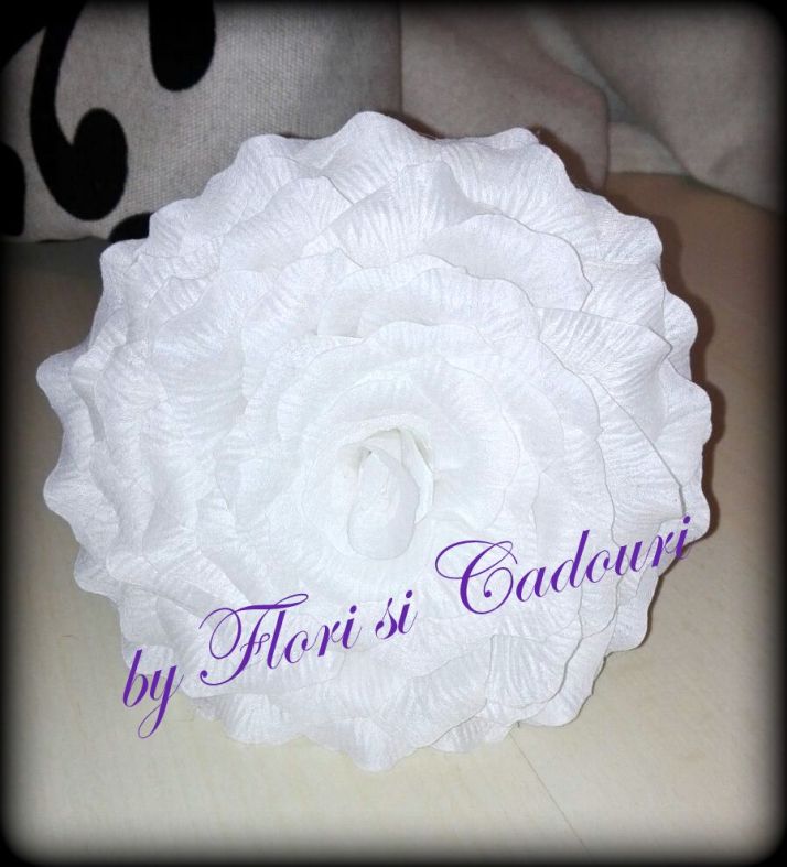 028da98f-908a-4036-840f-bf96df01a74d-1