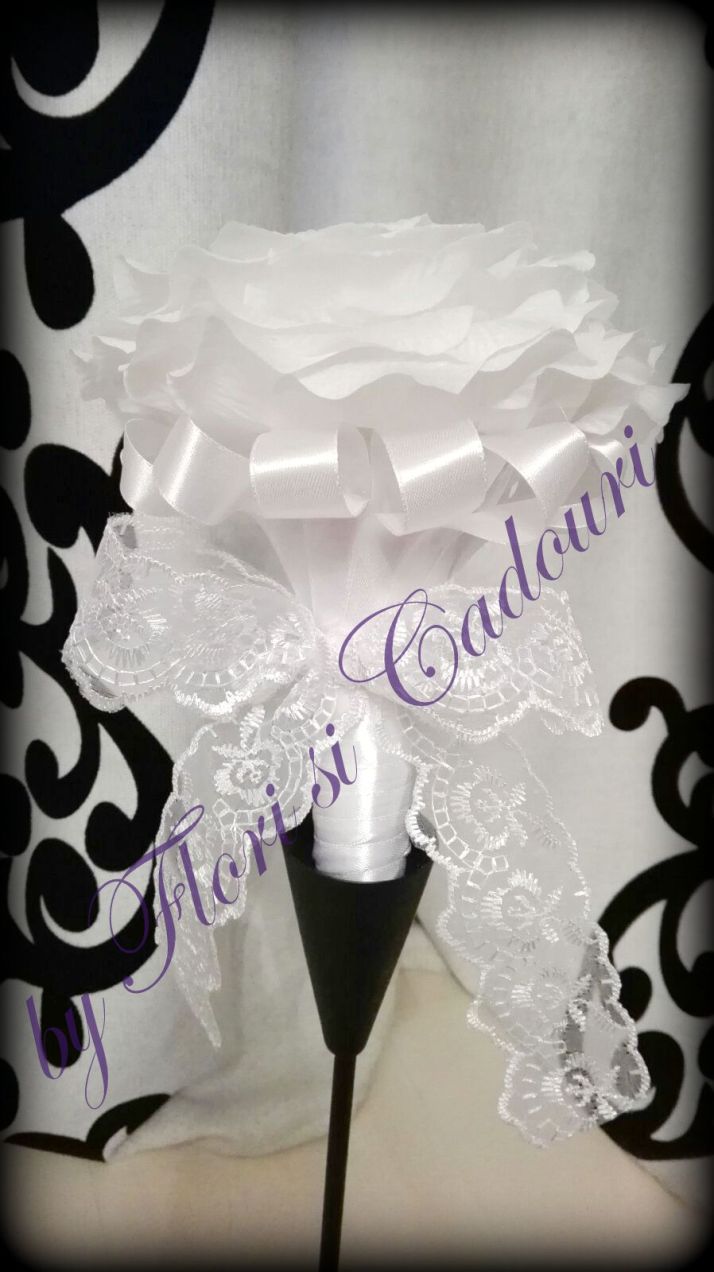 7e8442ac-4878-46ba-8b11-ad18f758c1e-1