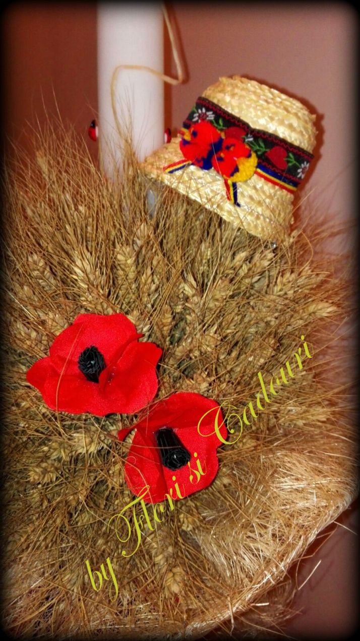 3ff1d7d2-8198-4445-aa5b-273fd9f0450f-1