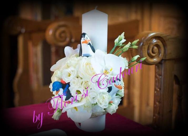 16649211_1328730217169974_7554951926540643569_n-1