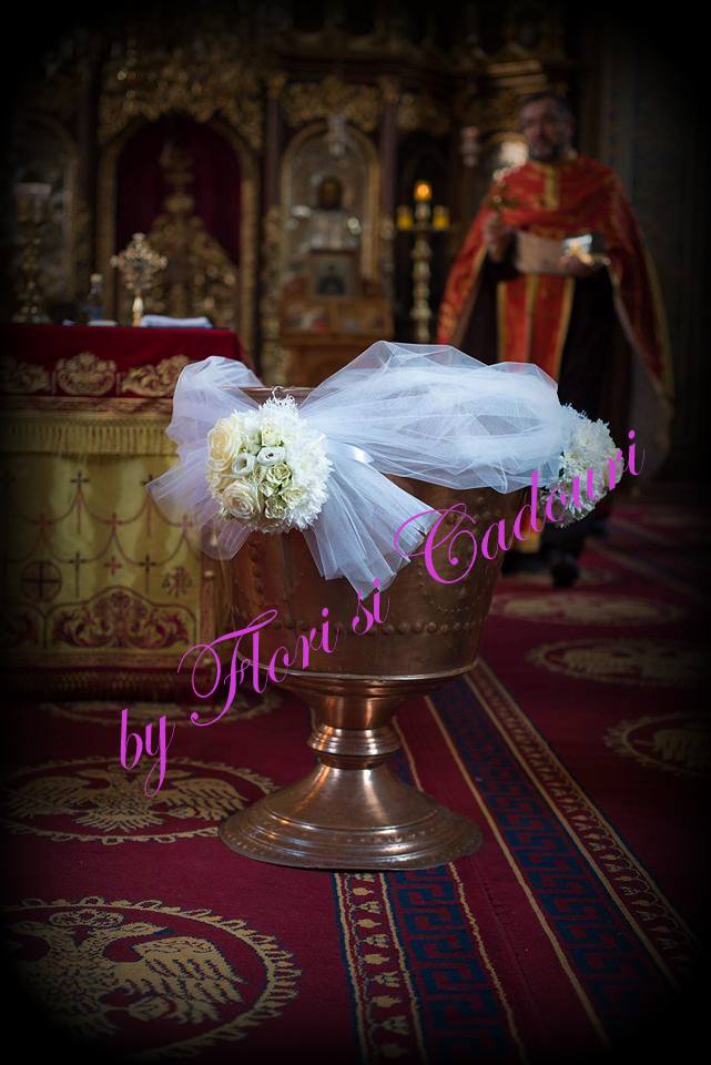 16806765_1328730560503273_4517549114767554880_n-1