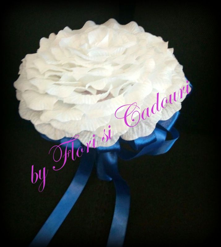 1d60abcd-ce6f-4406-b50b-4cad1c7247ec-1