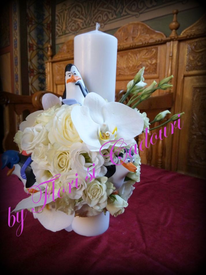 c0a7ff3a-80c7-44d5-90e7-bf7f8131db4a-1