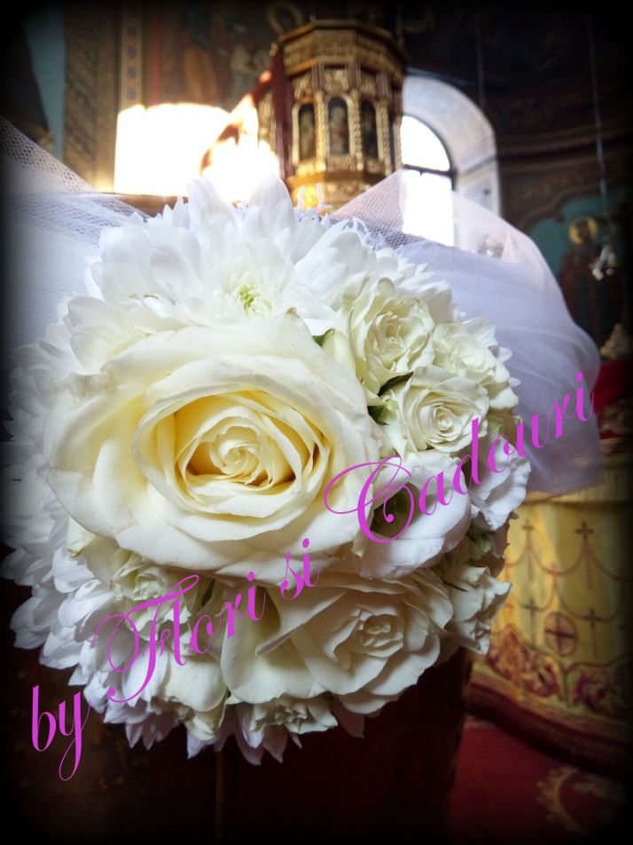 cebe8817-8dcb-4272-a71a-8daa19abea32-1