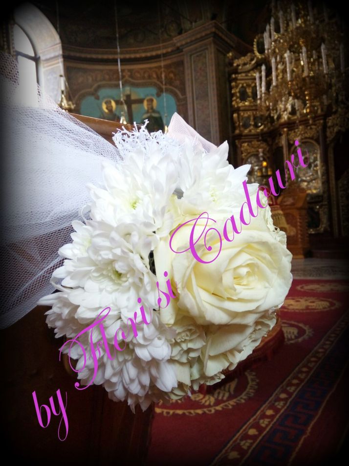 dc76c0c8-f612-4fdd-a9cc-4e13c7055165-1