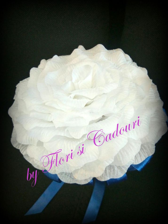 ff496a07-7b9f-4e94-8bd0-1a5ae585258e-1