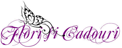 Flori si Cadouri 